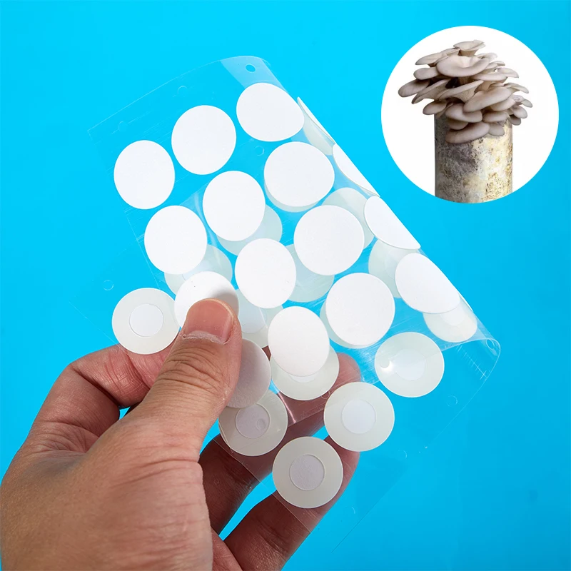 Synthetic Filter Discs Are Essential For Growing Mushrooms