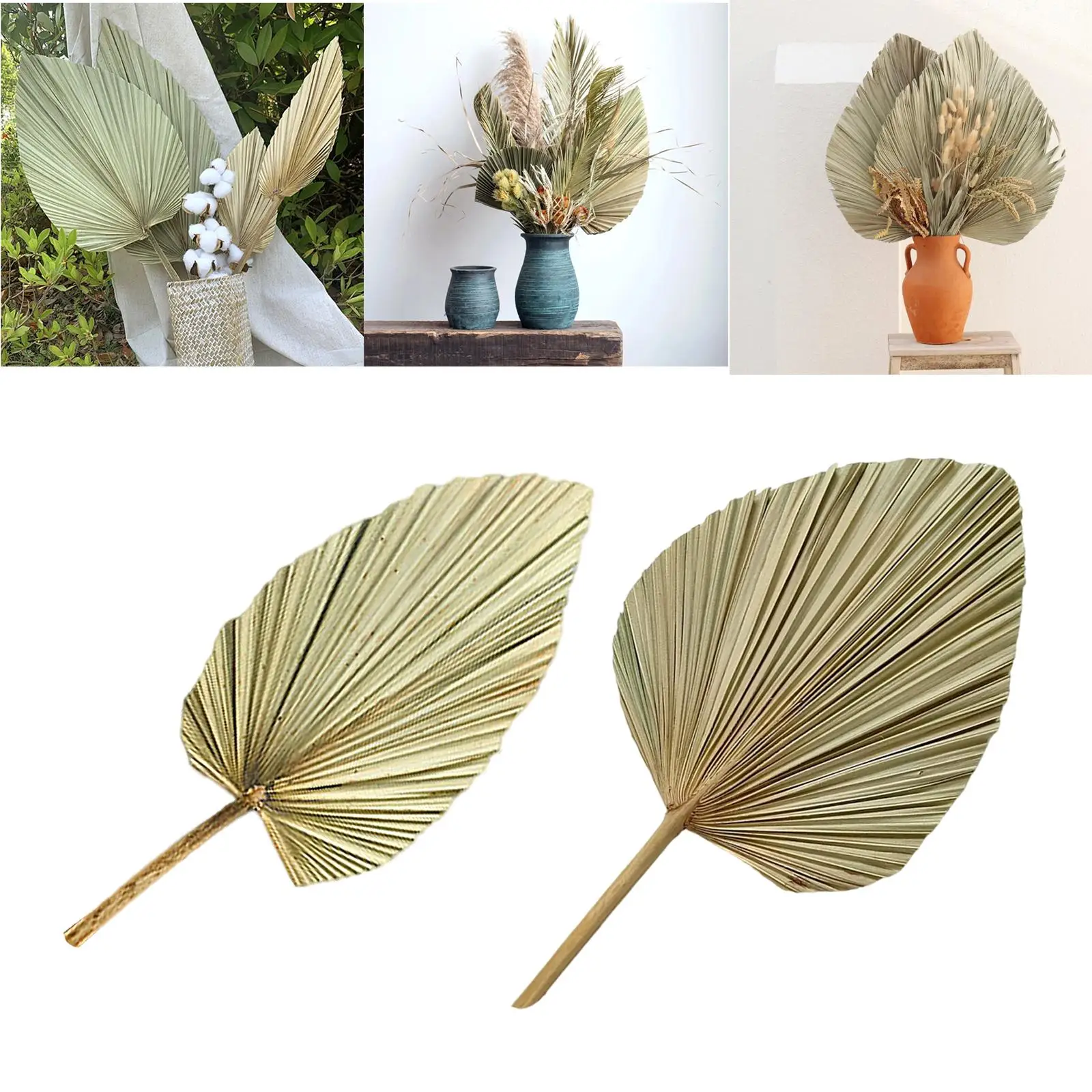 1pc Palm Fan Leaf Dried Flower Palm Leaf Window Reception Party Art Wall Hanging