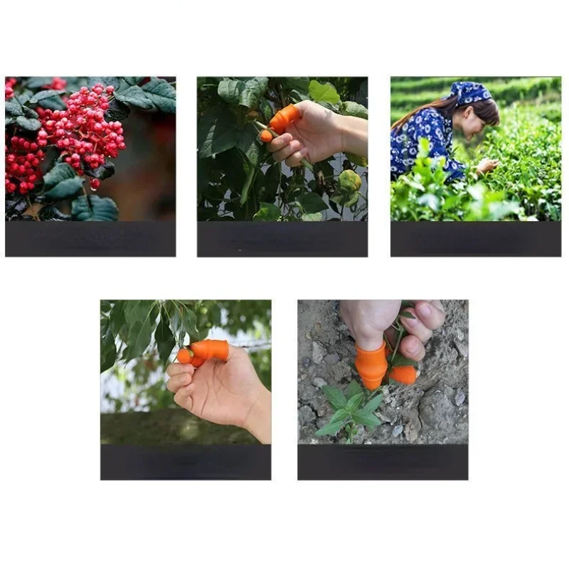 Farm Vegetable Fruit Picker Pickle Pepper Pickle Tip Picker Iron Nail Pick Grape for Garden Orchard and Vegetable Patch garden tool fruit picker