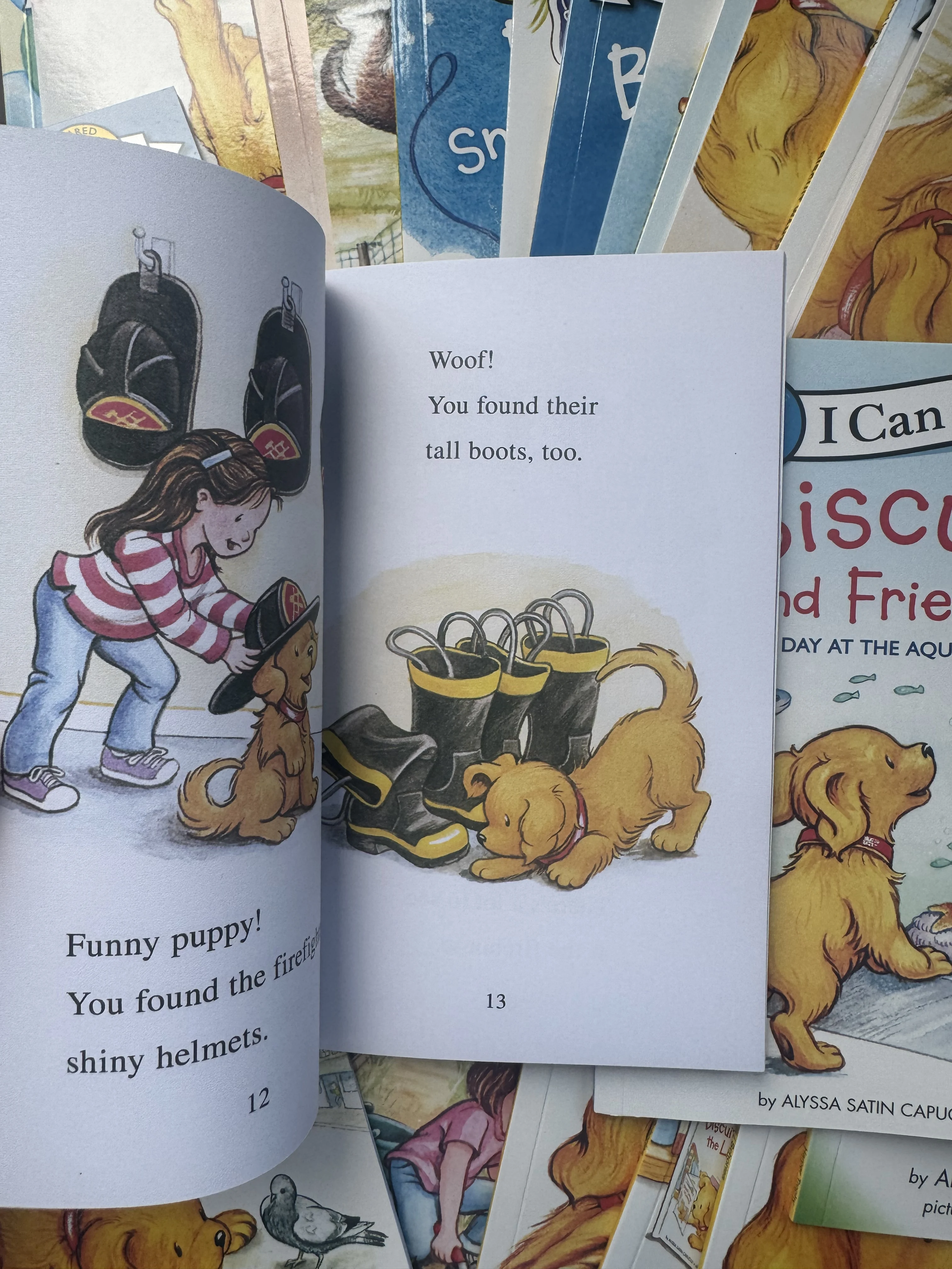 Biscuit I Can Read Set 6