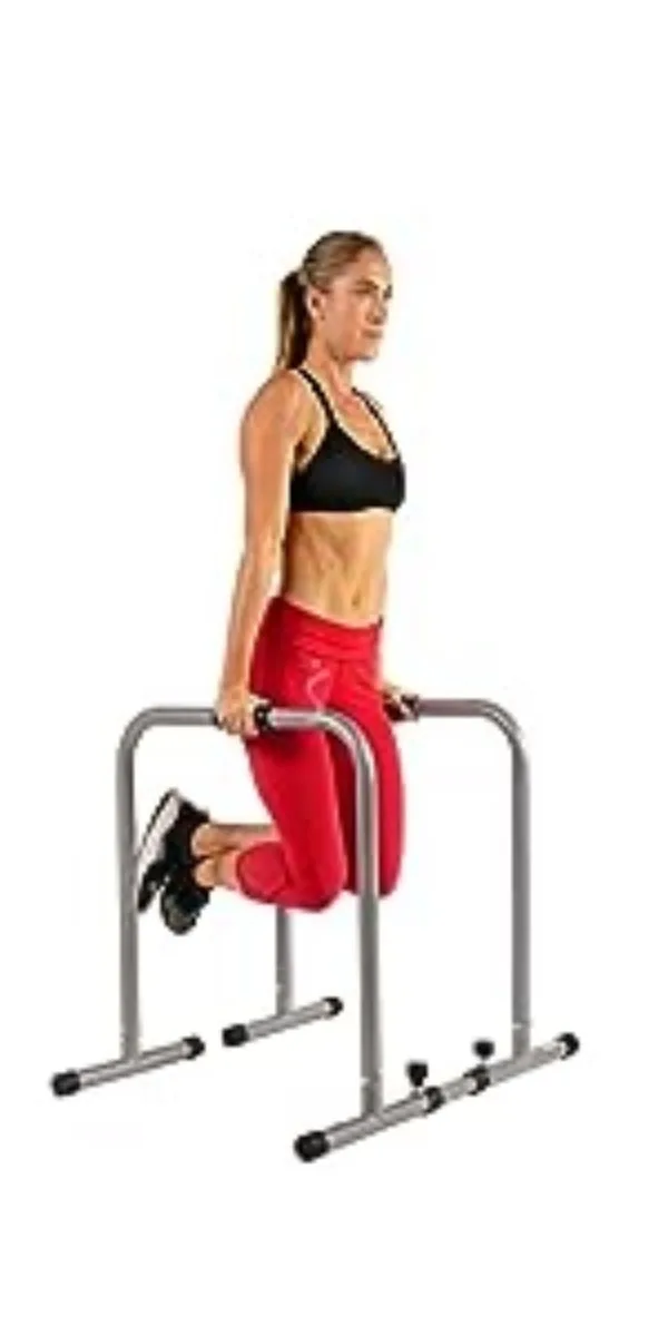 dip station bars