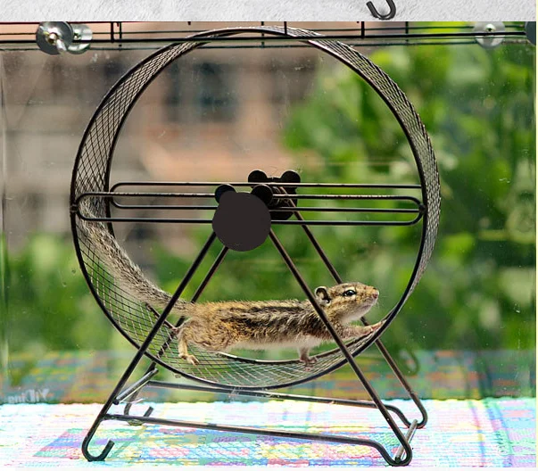 

Metal Totoro Hedgehog Dutch Pig Guinea Pig Squirrel Running Wheel Metal Silent Running Wheel 23cm Hamster Hamster Toys