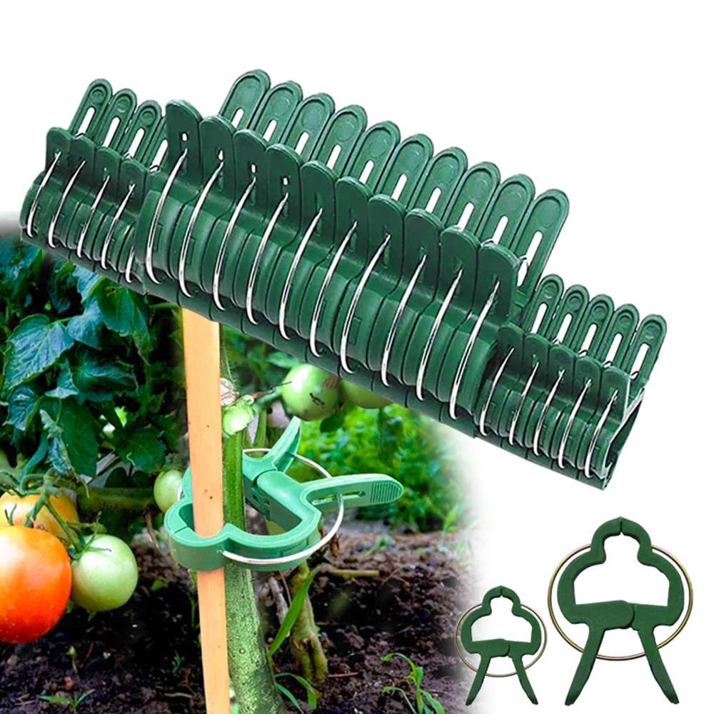 

Bundle Vine Support Stakes Connector Branch Clamping Planting Garden Tool Support Clips Farm Supplies Plant Fixed Clamp