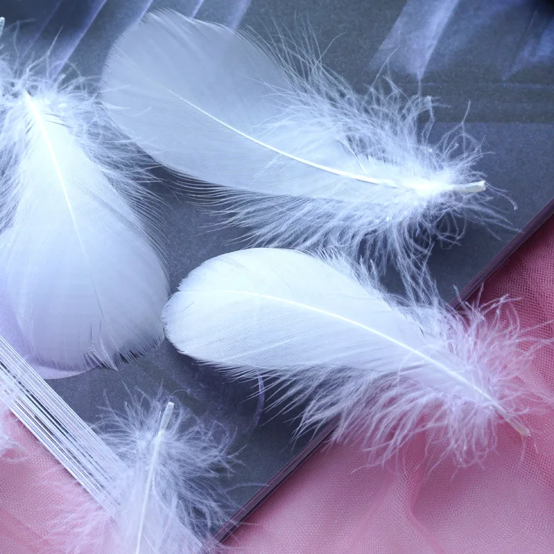 Natural Goose and Swan Feathers for Home Decor and Crafts - 100 Pieces