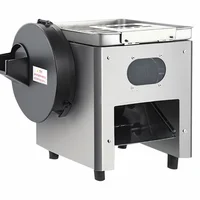 220V /850W  Radish Potato Shredder Filling Meat Grinder Commercial Lamb Beef Beef Roll Slicer  Food Processing Tool 1