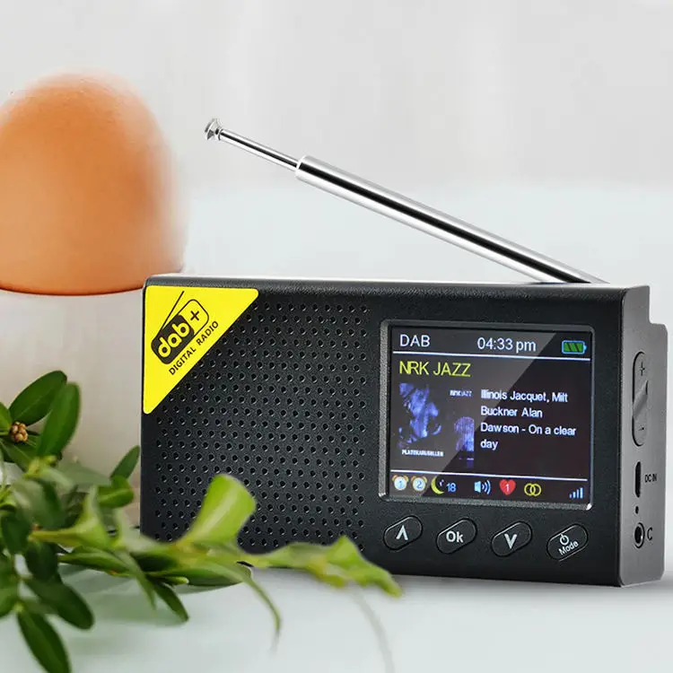 DAB-PC1 Taşınabilir 2.4 inç ekranlı, BT otomatik ayarlı DAB + AM radyo