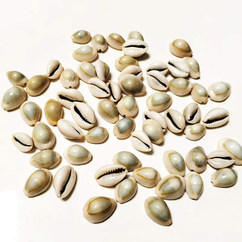20 PCS Gold-ringer Cowrie 쉘 반지 탑 Cowrie 쉘 Monetaria Annulus 비즈 목걸이 및 팔찌, DIY 공예품