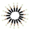134.2KHz 1pcs Reusable Animal ID Chip Syringes + 100pcs 15 Bit Glass Microchips FDX-B ISO11784/85 Eco-friendly For Dog Cat 3