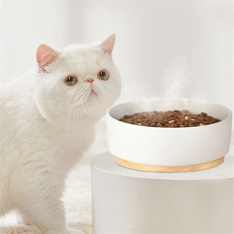 

Kitten Bowl Pet Heating Bowl To Protect The Cervical Spine Intelligent Ceramic Food Bowl Cat Food Bowl Thermostat Bowl