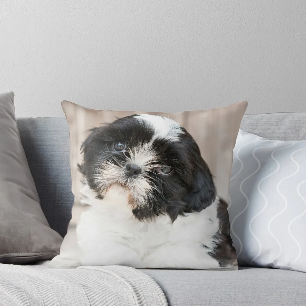 

Cute Black and White Shih Tzu Puppy Throw Pillow Pillowcases Couch Pillows Pillow Case Cushions