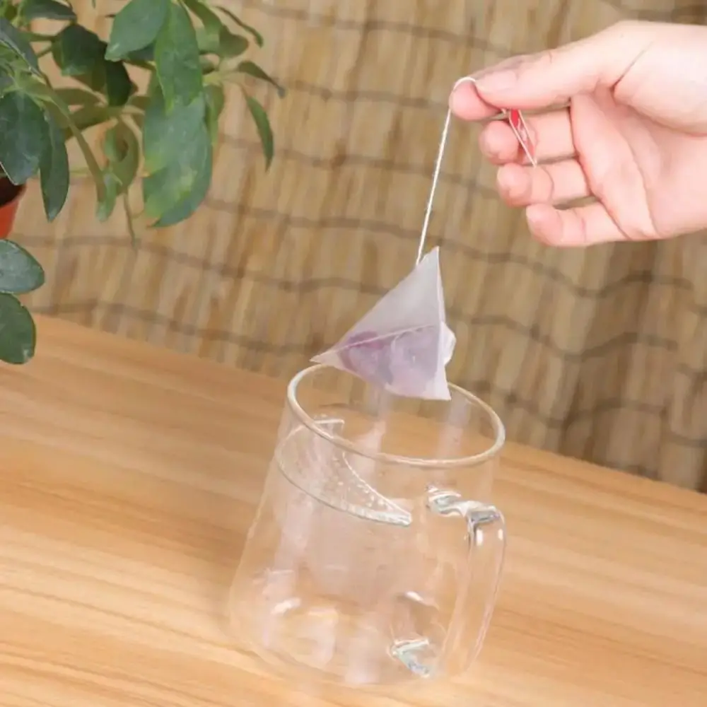 Nylon Transparent Disposable Teabags with String for Tea Leaves