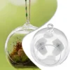 Hanging Glass Ball Succulent Tabletop Tealights Terrarium Vase Candles Wedding Celebration Container Brand New Accessories Tools 5
