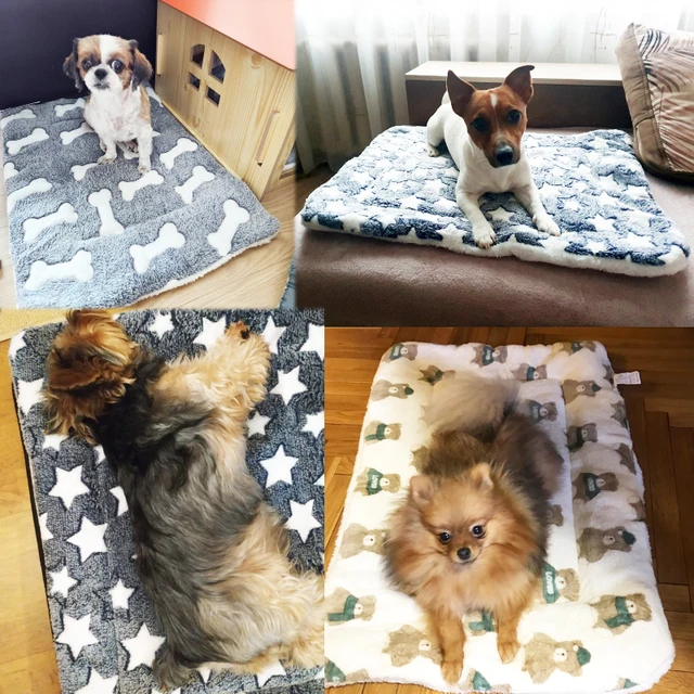 Pet Sleeping Mat Warm Dog Bed Soft Fleece Pet Blanket Cat Litter Puppy Sleep Mat