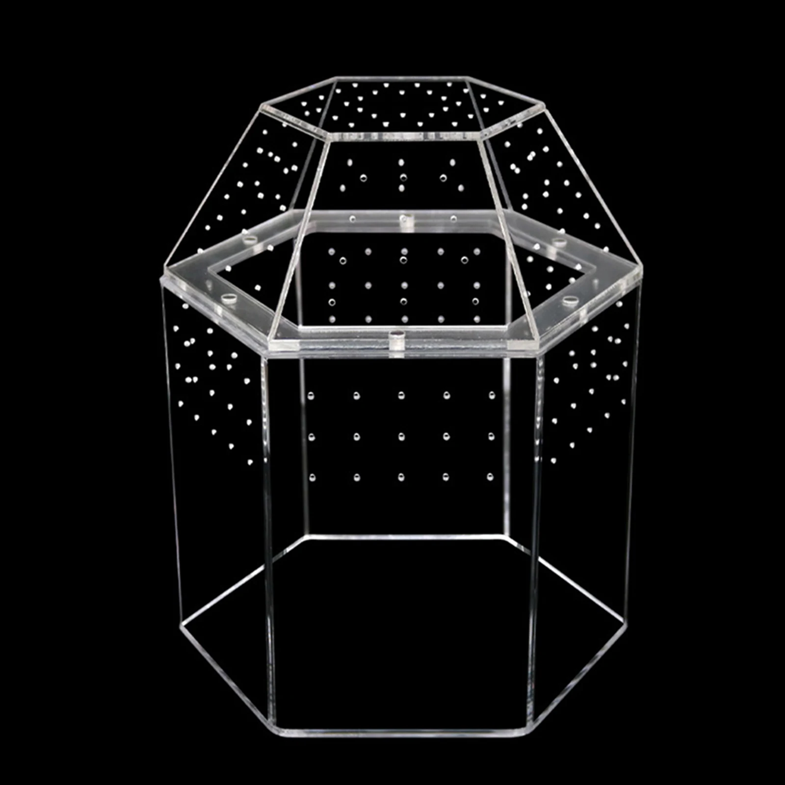 Terrarium Habitat Acrylic Bug Terrarium Full Transparency Mini Tarantula Enclosure All-Side Ventilation for Frog Crickets Snails