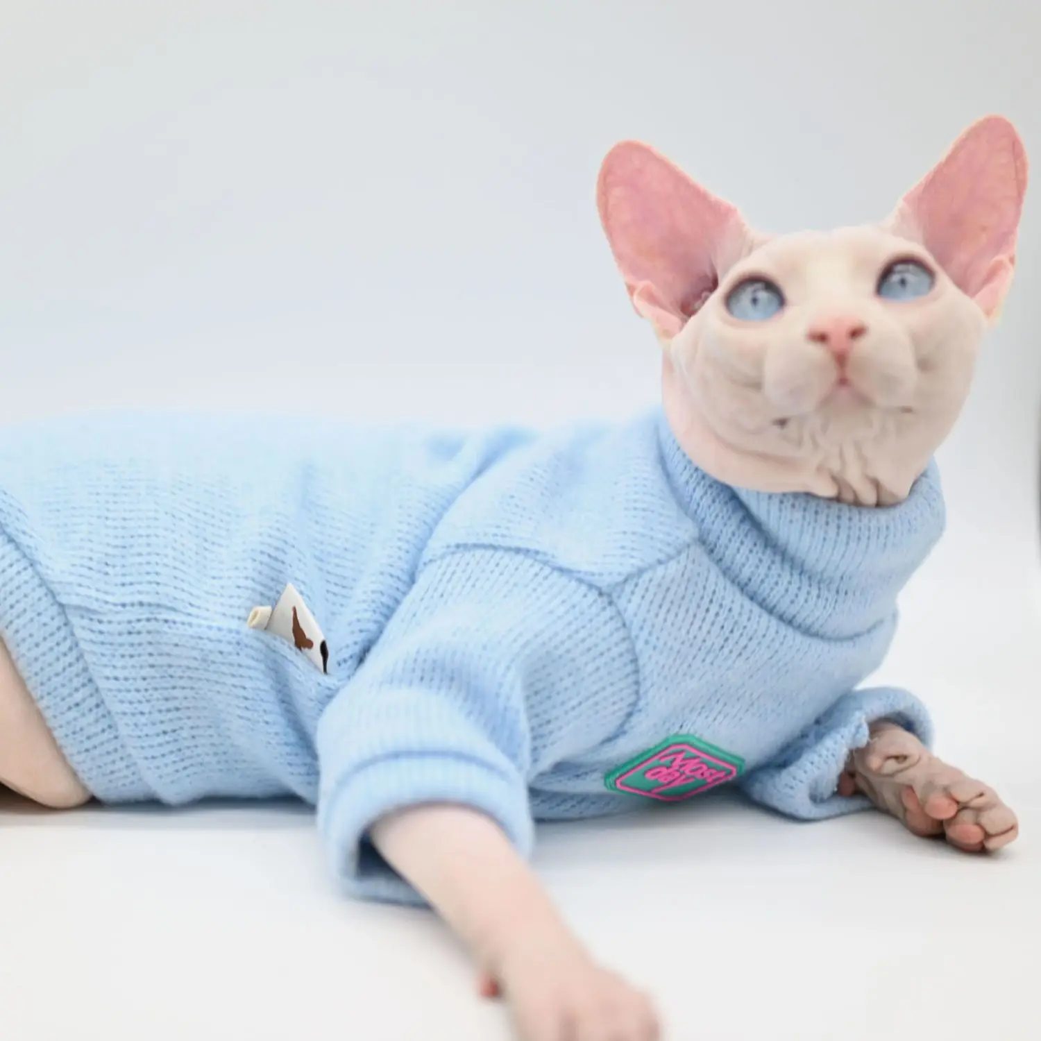 Cute, Winter Clothes For Sphinx Cats