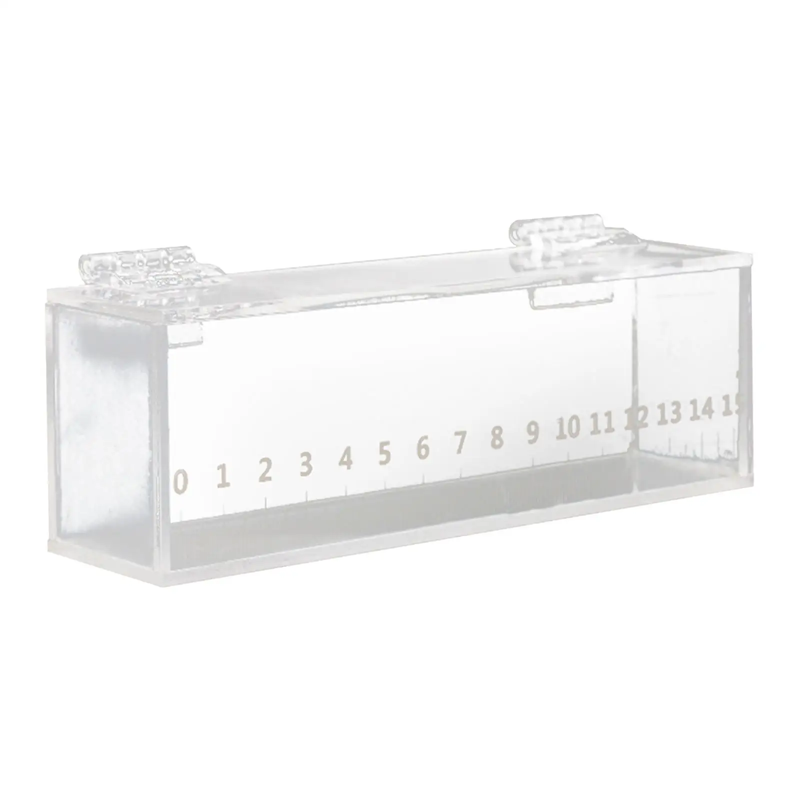 Acrylic Fish Viewing Box Transparent Fish Isolation Box Indoor Micro Landscape Tanks Clear Fishing Photo Tank with Scale fish aquarium