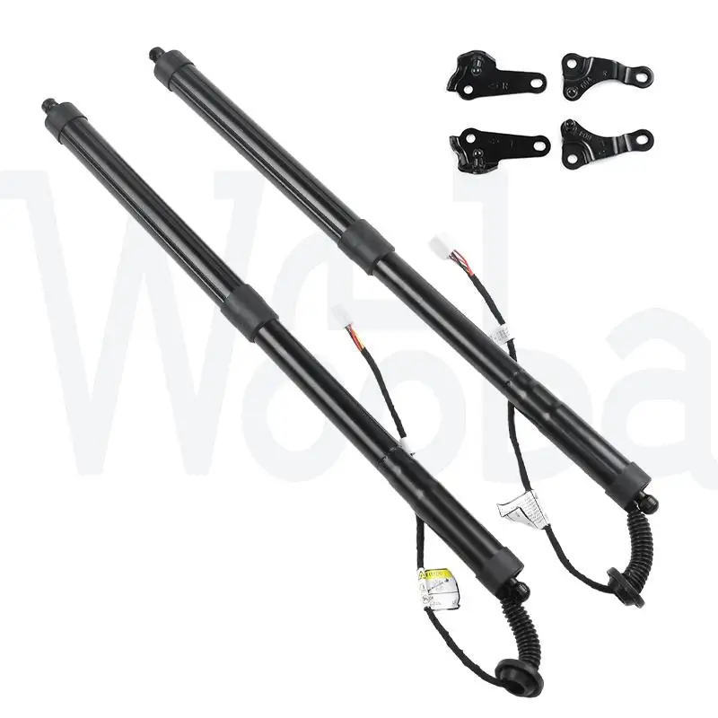 

Wooba Tailgate Lift Strut Left Right 6891079016 6892079016 6892079015 6891079015 6892079017 For Lexus NX300h NX200t 4-Door L4