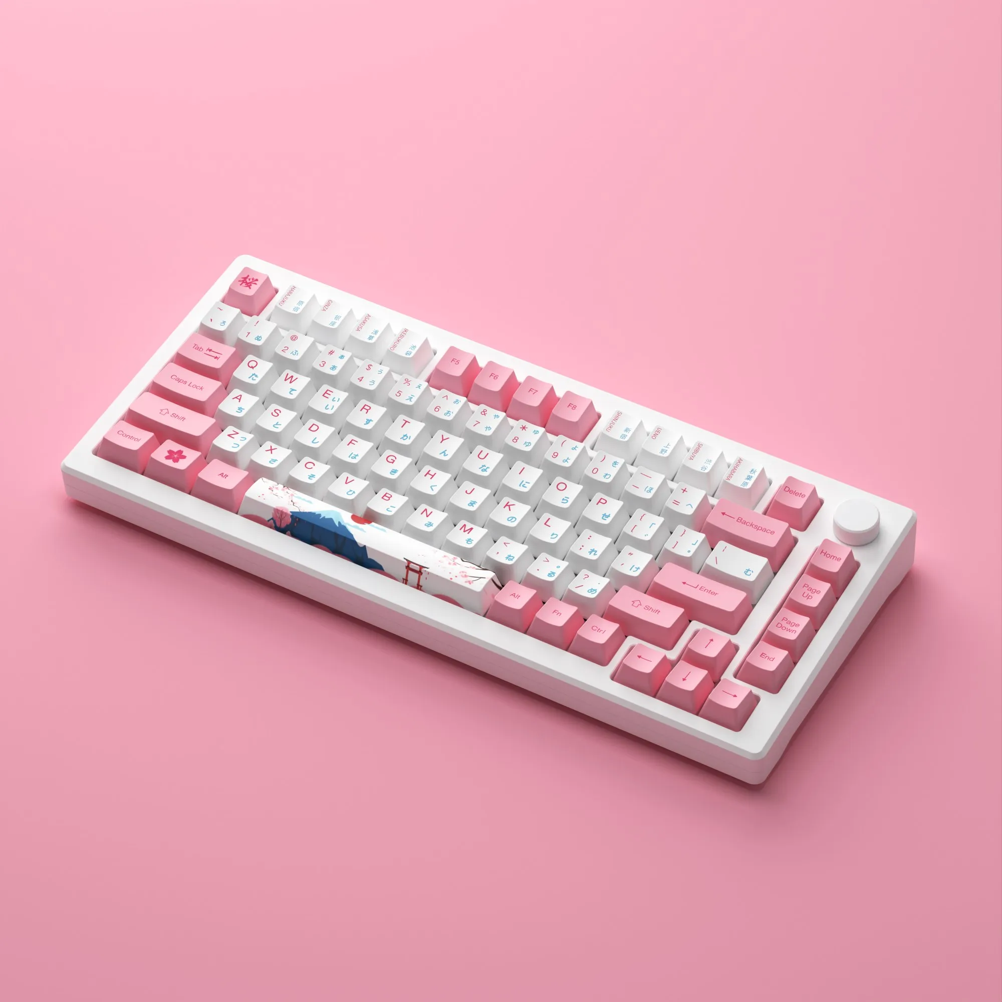 Akko-メカニカルゲーミングキーボード,RGBマルチモードキーボード