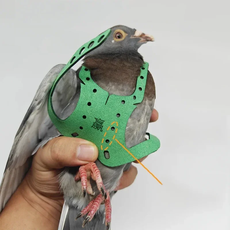 Parrot Pigeon Harness And Leash Flying Anti-bite Traction Rope Straps Bird Training Outdoor Carrying Adjustable Bird Pet Product - Image 3