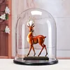 25*30cm Transparent Glass Dome Vase Home Deocration Diameter=25cm Height=30cm Different Base Cover DIY Gift Promotional Goods 2