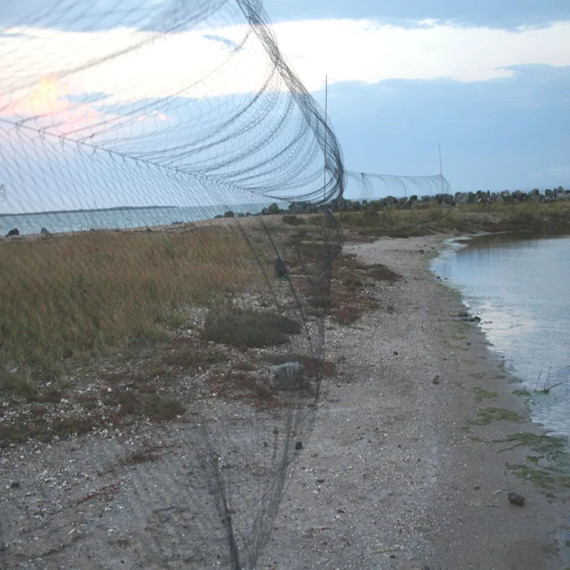 75D/2 3x6M, 3x9M，3x12M, 3x15M Garden Net Anti Bird Net with 20x20mm mesh hole and 4 Pockets mist net 6