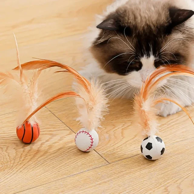 Interactive cat ball toy with feather elastic color bouncy ball indoor kitten adult cat hunting chasing sports game pet toy 3