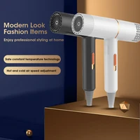 Electric Hair Dryer Strong Wind Salon Dryer Hot Air&Cold Air Wind Negative Ionic Hammer Blower Dry Professional Hair Dryer 1