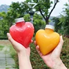 10Pcs 300ml Plastic Heart Shape Water Bottle Transparent Plastic Portable Box For Juice Tea Milk Bottles Drinking Cup BPA Free