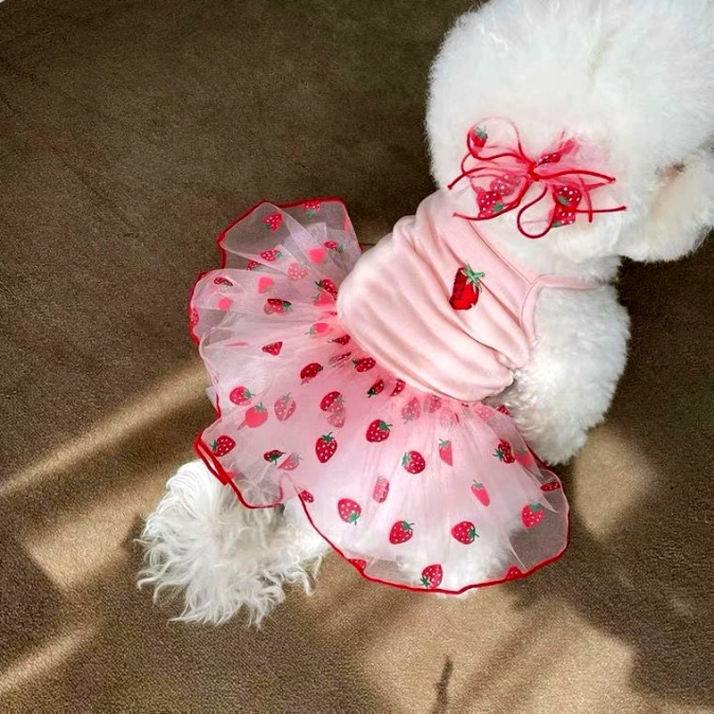 Summer Strawberry Dress for Dog Pet Clothing Dog Suspender Skirt Dog Clothes Cats Puppy Print Cute Dog Mesh Dress Pet Supplies