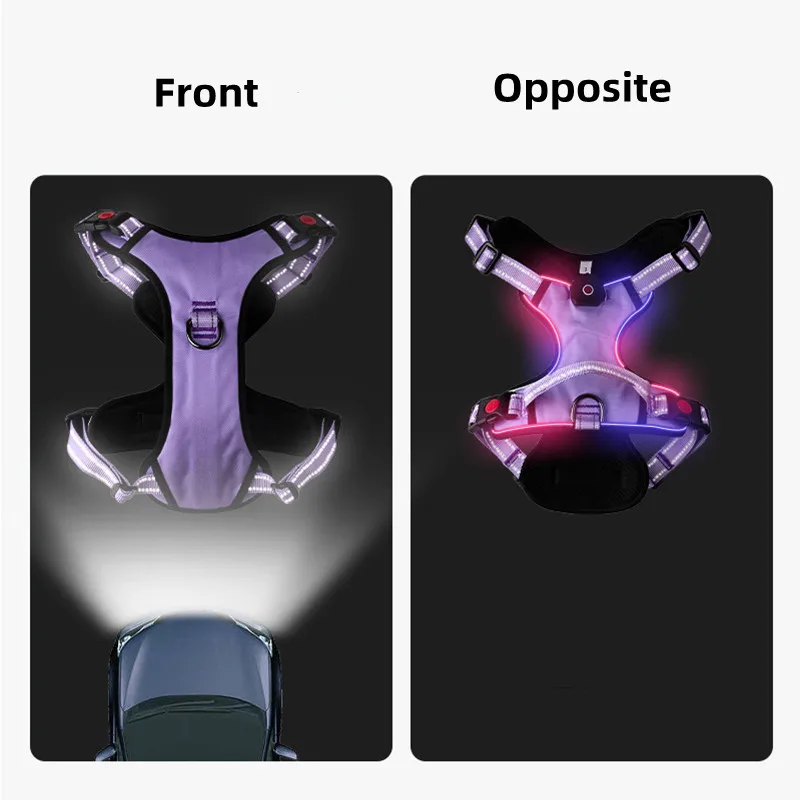 Luminous Large Dog Harness 4