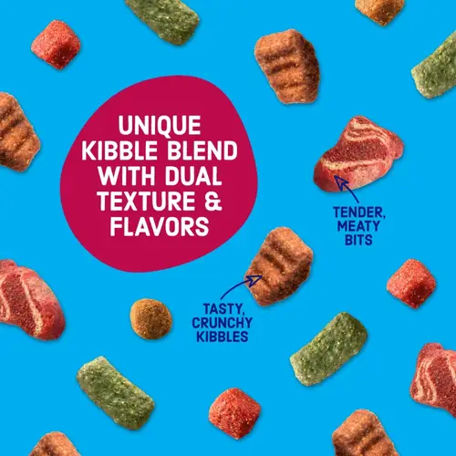 Kibbles 'n Bits Bistro Oven Roasted Beef, Vegetable and Apple Flavors Dry Dog Food, 16 lb. - Image 5