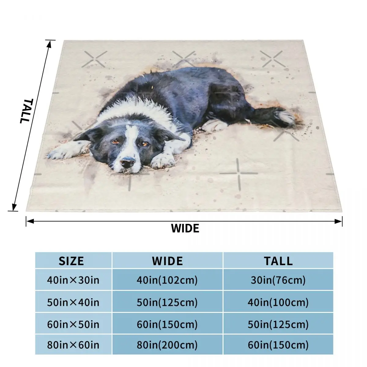 �ٴڿ� ���� �ִ� �Ϳ��� ���� �ݸ�, ��äȭ ���, ħ�� �� ħ�뺸, ī���� ���� ħ��