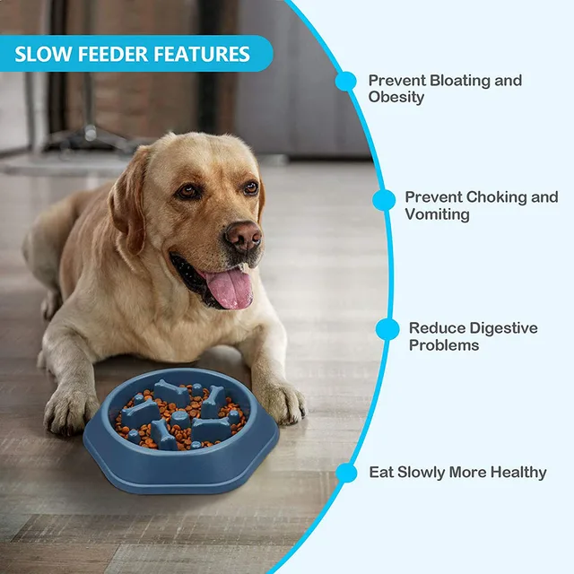 Slow Feeder Dog Bowls Slow Eating Pet Bowls Puzzle Anti-Gulping Interactive Bloat Durable Preventing Choking Healthy Dogs Bowl 6