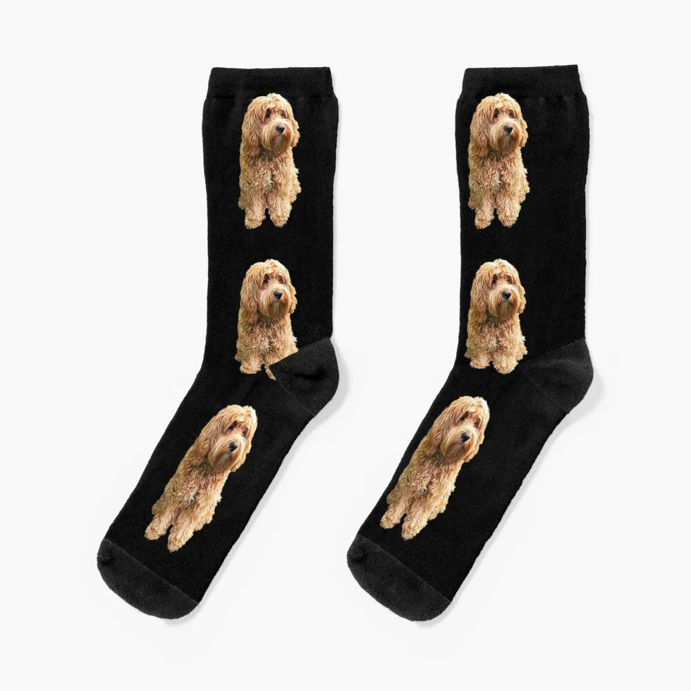

Cockapoo Cockerpoo Oh So Stylish! Socks New year's floor Boy Socks Women's