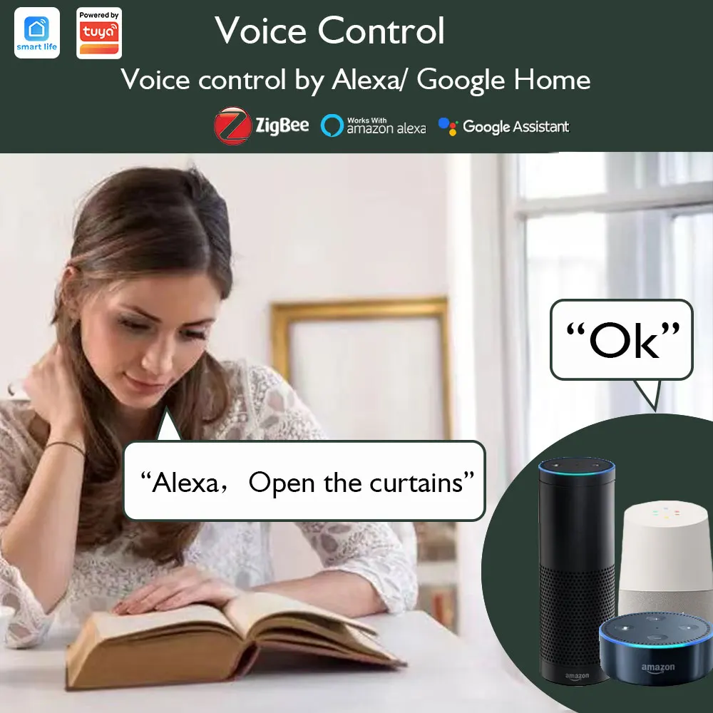 LifeLibero 배터리 투야 지그비 스마트 커튼 모터, 범용 스마트 홈, 전기창 열림 드라이버, 알렉사 구글 홈 지원