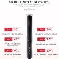 Professional Electric Hair Styling Straightening Smoothing Modeling Brush Rotating Hairbrush Hot Comb Electrical Curling Iron 6