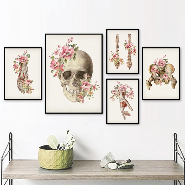 Human Skull and Bones available as Framed Prints, Photos, Wall Art and  Photo Gifts