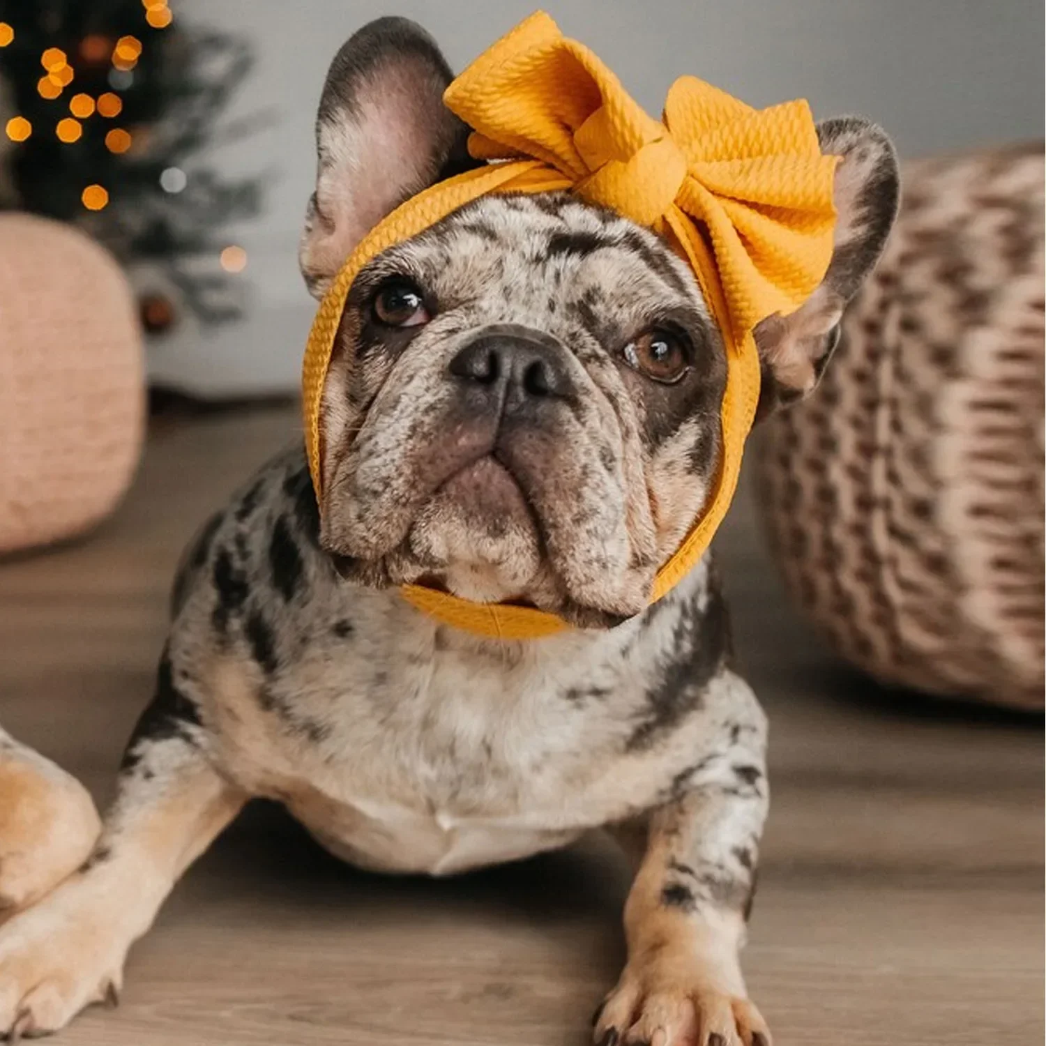 

Pet headband Dog Cat Headwear Ear Muffs Outdoor Dog Ear Neck Warmer Headwear Washable Dog Snood for Grooming Photo Props