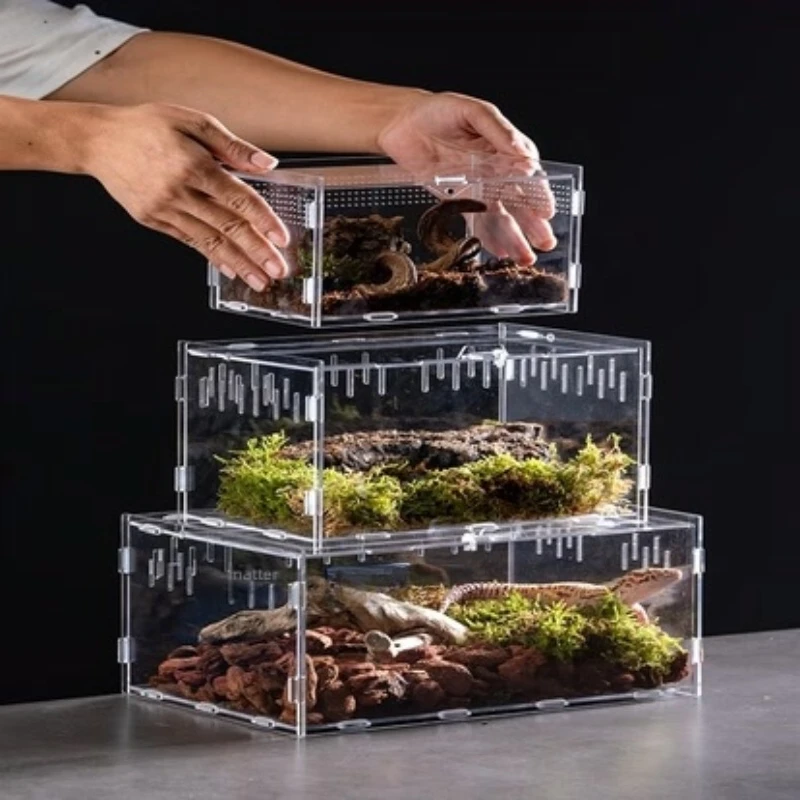 Transparent Acrylic Reptile Terrarium Gecko Lizard Hermit Crabs Assembly-Required Habitat Tank Arboreal Herpetoculture Housing