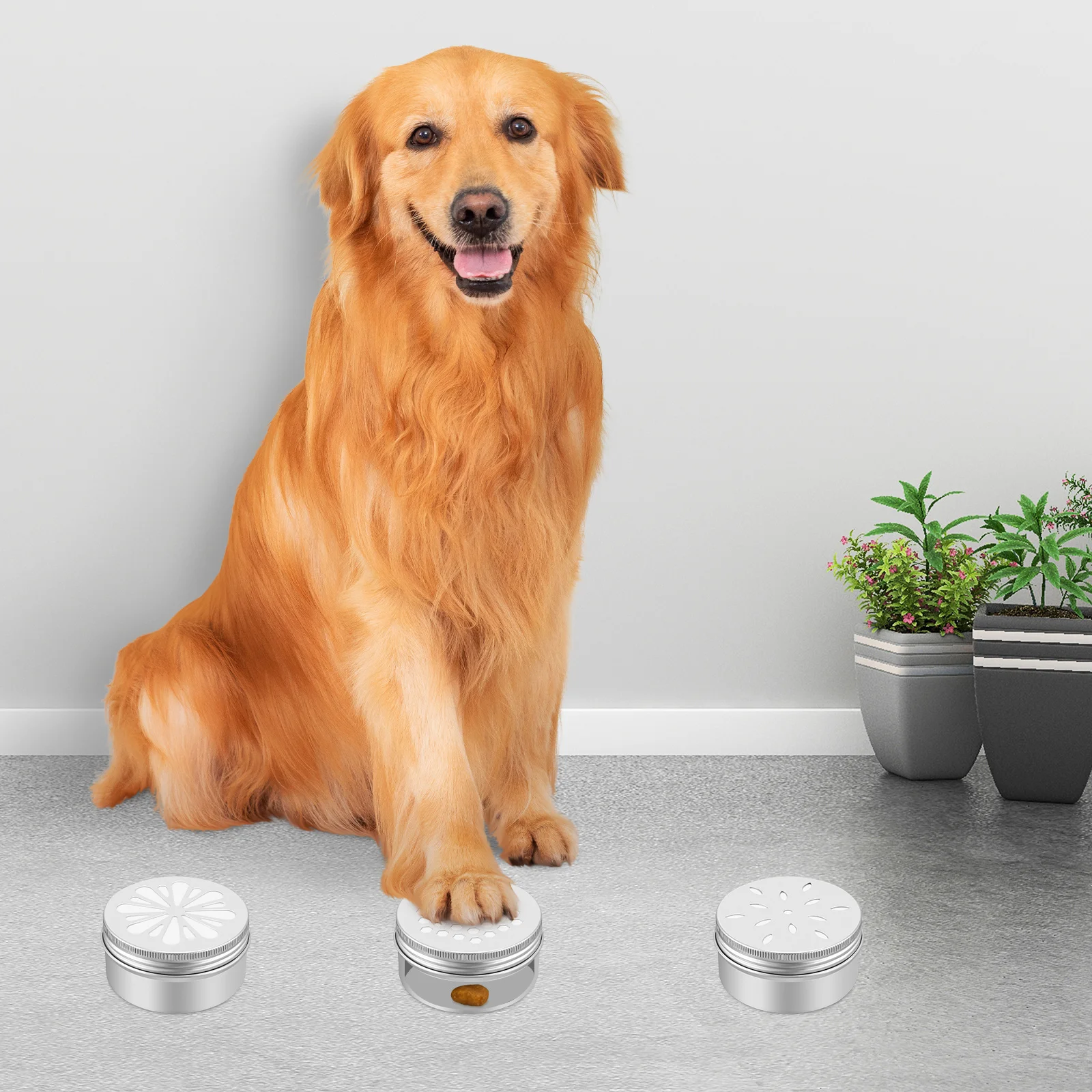 1 set Dog Training Scent Tins Metal Can Dog Smell Training Boxes Pet Scent Container With Dots,dog training supplies
