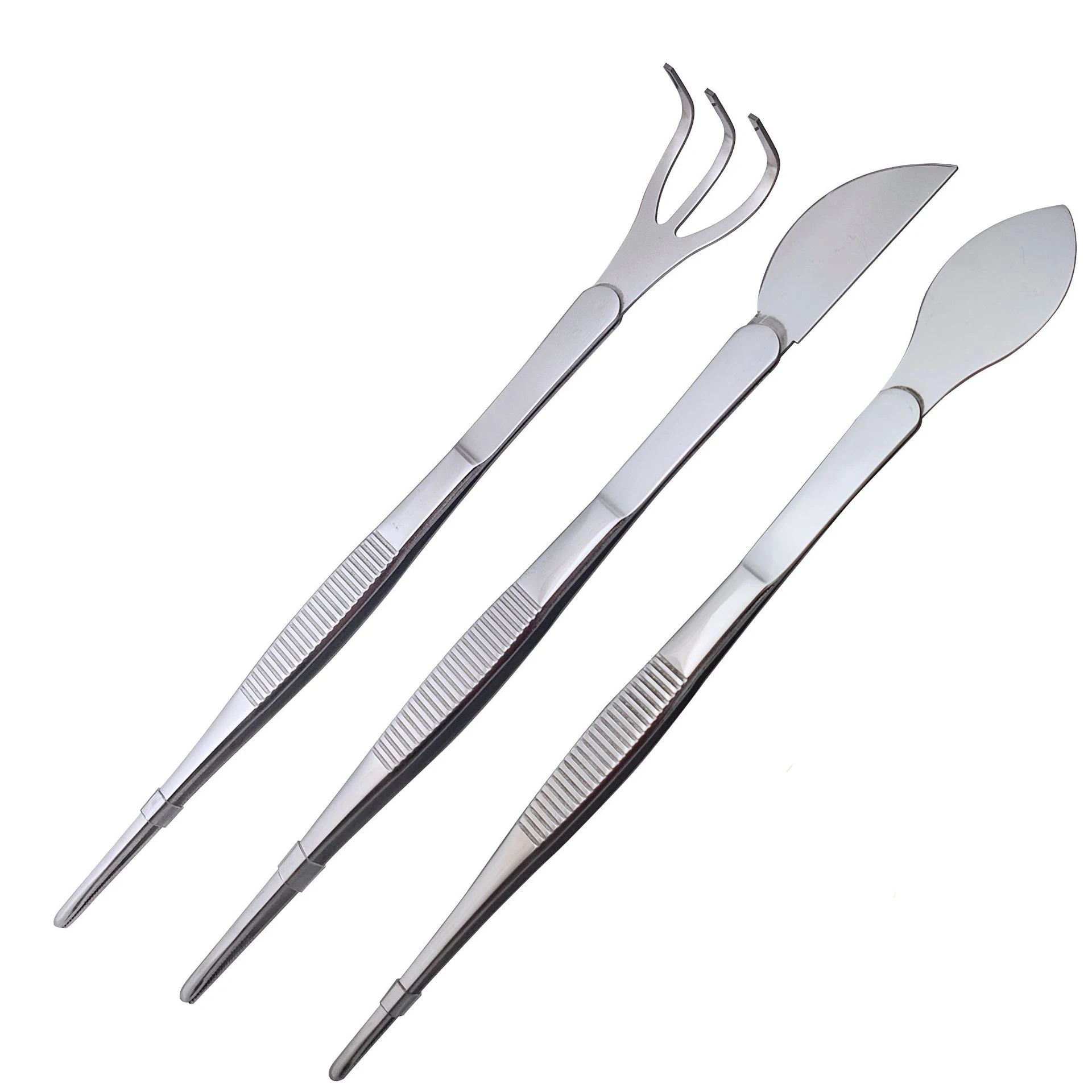 304 Stainless Steel Root Rake Bonsai Tweezers 2-in-1 Soil Farming Tool For Succulents Crafting