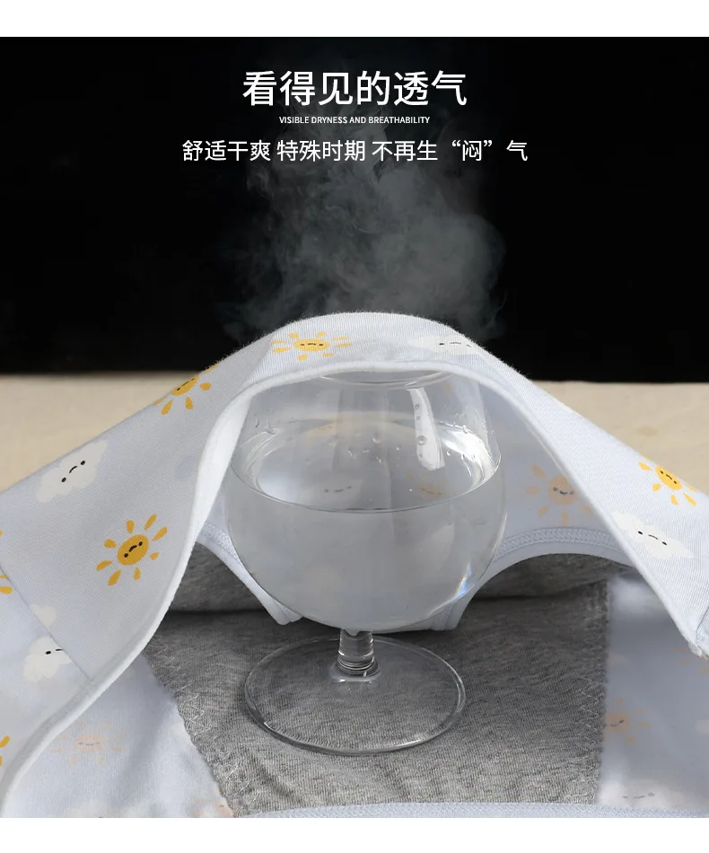 Menstrual Underwear Image 4