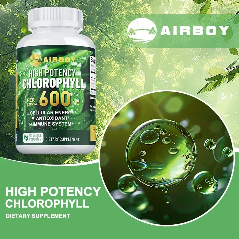 Daily Chlorophyll Supplement
