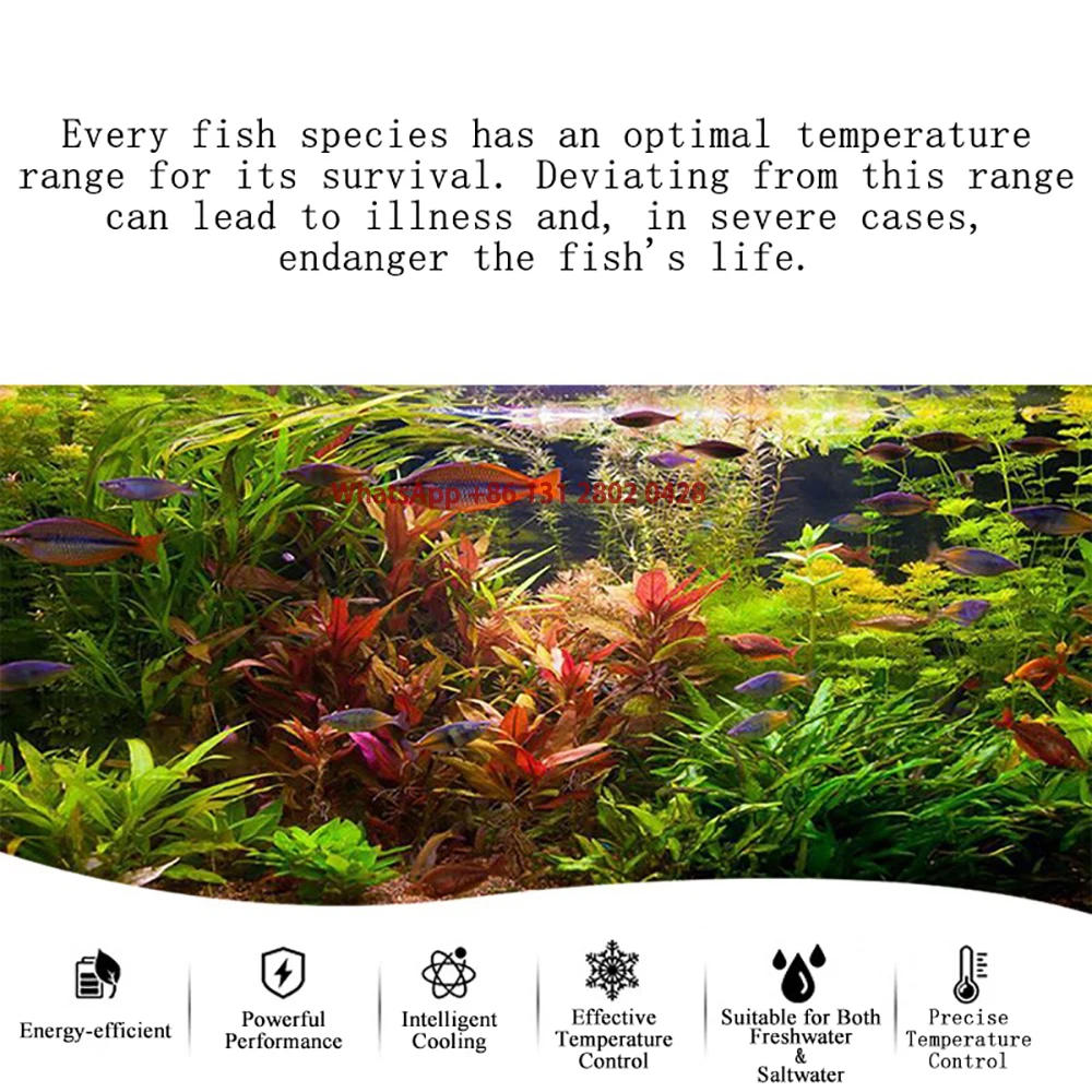 35L 60L 160L 300L 500L Marine Tank Chiller Water Cooling Machine Suitable Aquarium for Reef Coral Jellyfish Shrimp Water Plants 3