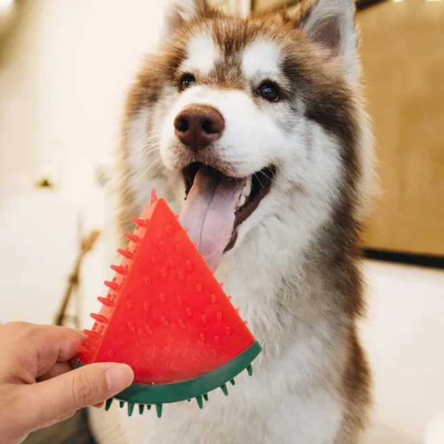 Pet Squeaky Chew Toy Dog Teeth Cleaning Toy Watermelon Pineapple Lemon Fruit Shape Puppy Bite Resistant Toy Pet Supplies 5