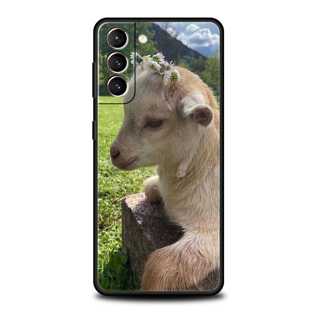 Cartoon Cute Goat Soft Phone Case Cover