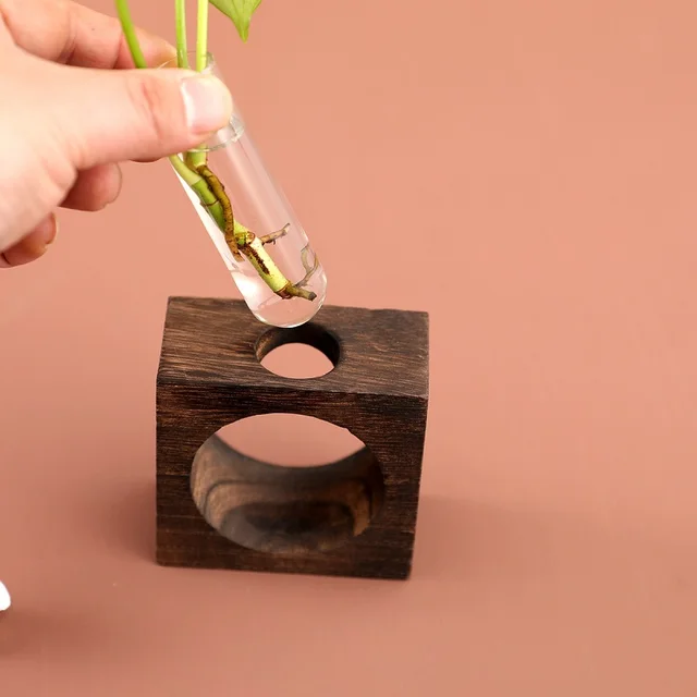 Contenitore per piante idroponiche con struttura in legno Provetta in vetro trasparente Vaso da fiori Decorazioni per bonsai da tavolo per la casa Artigianato 2