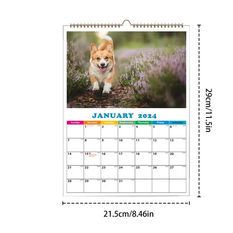 2024 Dog Calendar For Wall Animals Wall Calendar Dog Calendar Wall Calendar For Apartment Dormitory Classroom