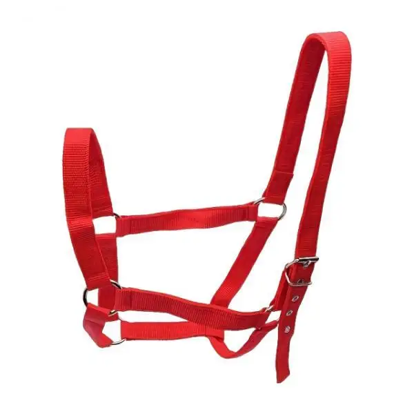 حبل تدريب خيل متين قابل للتعديل | متجر الجيل الأخض...