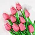 Dark Pink